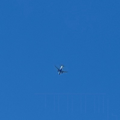 N3766 Boeing 737-800 Delta Air Lines, ATL → IND, 12 Jun 2026, photographed by CommanderHawk21