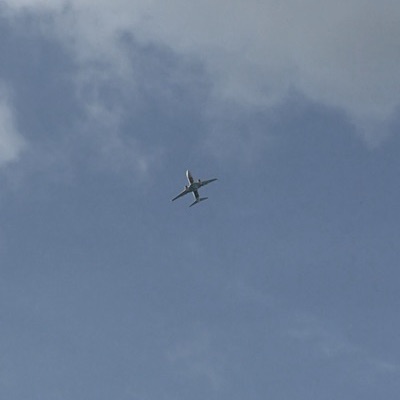 PH-HXB Boeing 737-800 Transavia, EIN → IBZ, 24 Sept 2026, photographed by Tiger Tiger Tiger