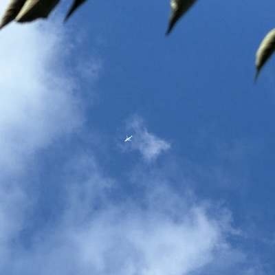 TC-LTT Airbus A321neo Ajet, SAW → STN, 5 Sept 2026, photographed by Tiger Tiger Tiger