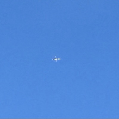 D-AIUK Airbus A320 Lufthansa, STN → MUC, 5 Oct 2026, photographed by SALT