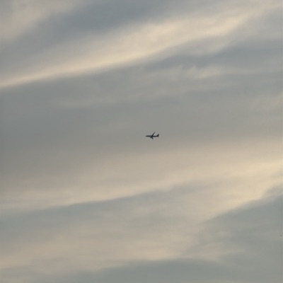 N906AN Boeing 737-800 American Airlines, MIA → CLT, 10 Sept 2026, photographed by Ron