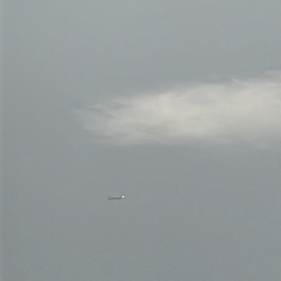 EI-FFB Boeing 737-800 Avialesookhrana, DLM → NWI, 21 Sept 2026, photographed by Air73713