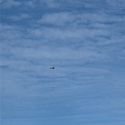 N43EA Bellanca 8 Scout Taxi Air Fret, ADS, 18 Oct 2026, photographed by SPUR
