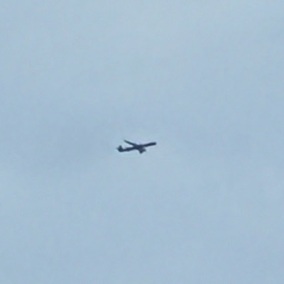 TC-JJN Boeing 777-300 Turkish Airlines, IST → LHR, 4 Oct 2026, photographed by SALT