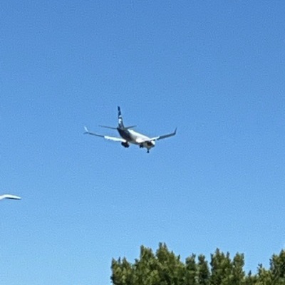 N731AL Boeing 737-700 Alaska Airlines, SJC → PDX, 12 Jun 2026, photographed by Yellowpandasomething