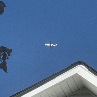 N458MC Cessna 680A Citation Latitude, 7 Oct 2026, photographed by Zee Man