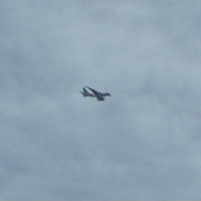 9V-SKS Airbus A380-800 Singapore Airlines, SIN → LHR, 6 Oct 2026, photographed by SALT