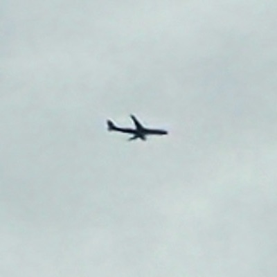TC-LOE Airbus 330-343 Turkish Airlines, IST → LHR, 6 Oct 2026, photographed by SALT