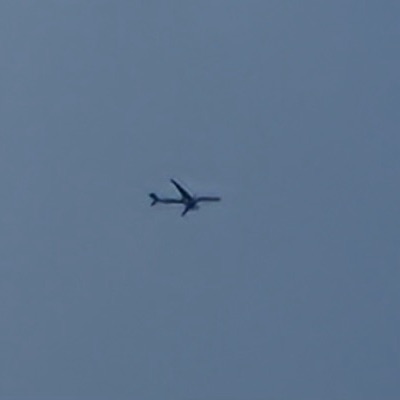 HL7205 Boeing 777-300ER Korean Air, ICN → LHR, 6 Oct 2026, photographed by SALT