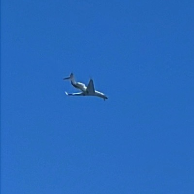 A7-CGD Gulfstream Aerospace Gulfstream G650 QQE, LBG → GOA, 19 Jun 2026, photographed by AirFalcon6