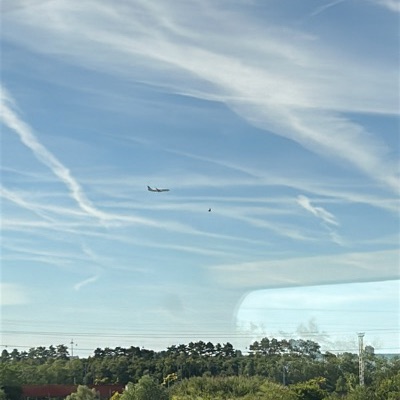 F-GZHR Boeing 737-800 Transavia France, HER → ORY, 13 Jun 2026, photographed by PA_Adrien
