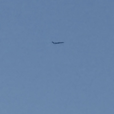 N166PQ Canadair Regional Jet CRJ-900 Delta Air Lines, PWM → LGA, 7 Oct 2026, photographed by CaptainBlade28