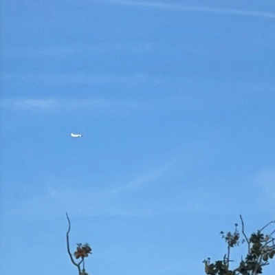SE-RPR Boeing 737-800 NOZ Airlines, LGW → ARN, 26 Sept 2026, photographed by F-16 sharp eye