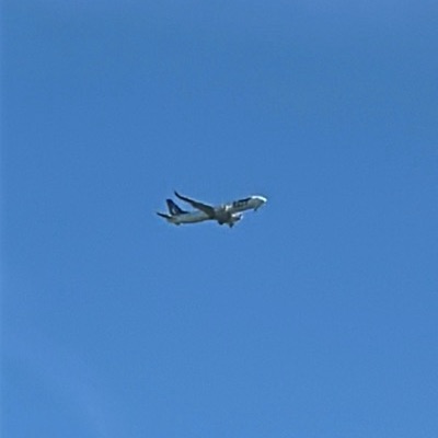 SP-LVR Boeing 737 MAX 8 LOT Polish Airlines, WAW → LHR, 5 Sept 2026, photographed by ItsJoshVibes