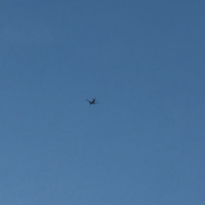 EI-GSI Boeing 737-800 Ryanair, EIN → PSA, 5 Sept 2026, photographed by Tiger Tiger Tiger
