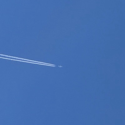 TC-RFE Airbus A321 Pegasus Airlines, TR-0282 → US-7587, 24 Jun 2026, photographed by fl0at