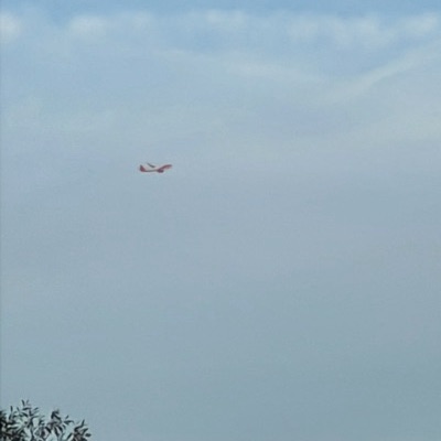 G-UZMH Airbus A321neo easyJet, LGW → MUC, 26 Sept 2026, photographed by F-16 sharp eye