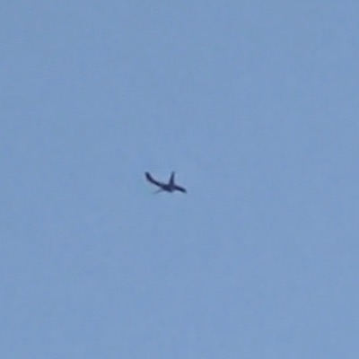 EI-IJN Boeing 737-800 Ryanair, STN → BRE, 2 Oct 2026, photographed by SALT