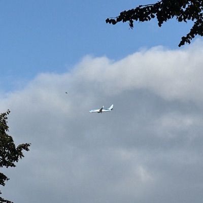 OO-JEF Boeing 737-800 TUI fly Deutschland, NDR → EIN, 18 Sept 2026, photographed by Tiger Tiger Tiger