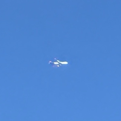 HL7645 Boeing 747-400, STN → FRA, 5 Oct 2026, photographed by SALT