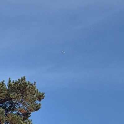EI-GED Canadair Regional Jet CRJ-900 Scandinavian Airlines, ARN → VNO, 14 Sept 2026, photographed by August M