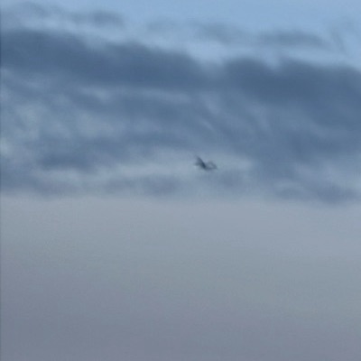 EC-MXP Airbus A320 Vueling, LGW → AGP, 28 Sept 2026, photographed by F-16 sharp eye