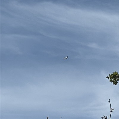 CS-DOT Cessna 525A Citation CJ2 VVV, CAT → BQH, 13 Jun 2026, photographed by Spotter 6572